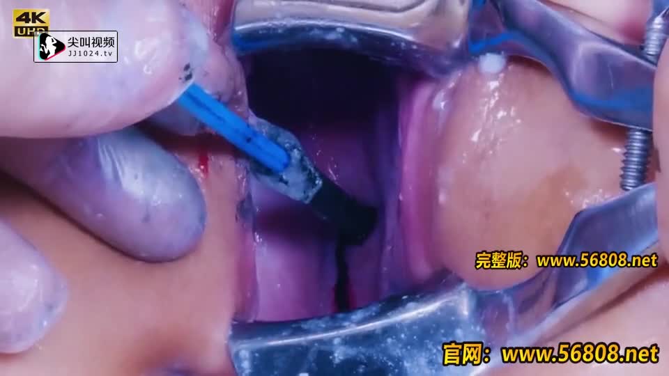 拳交女皇-子宫墨水-3-精品力荐